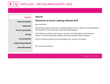 Tablet Screenshot of mol.patologi.org